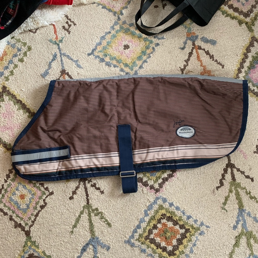 Huge Lot Of Large Dog Accessories